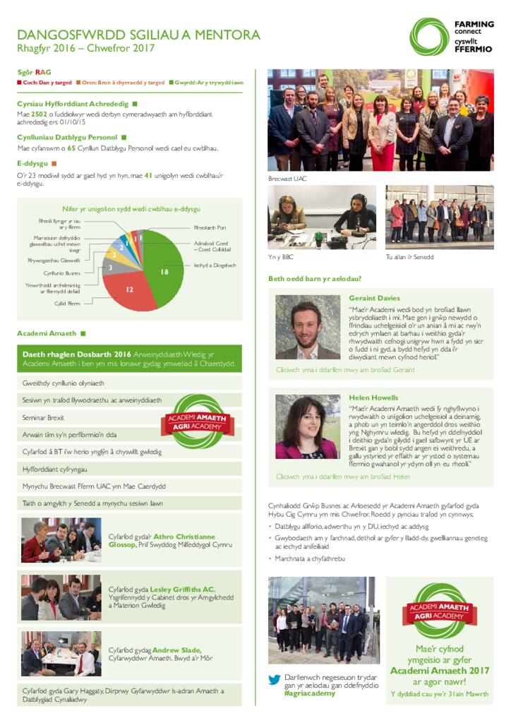 Sgiliau a Mentora: Rhagfyr 2016 – Chwefror 2017