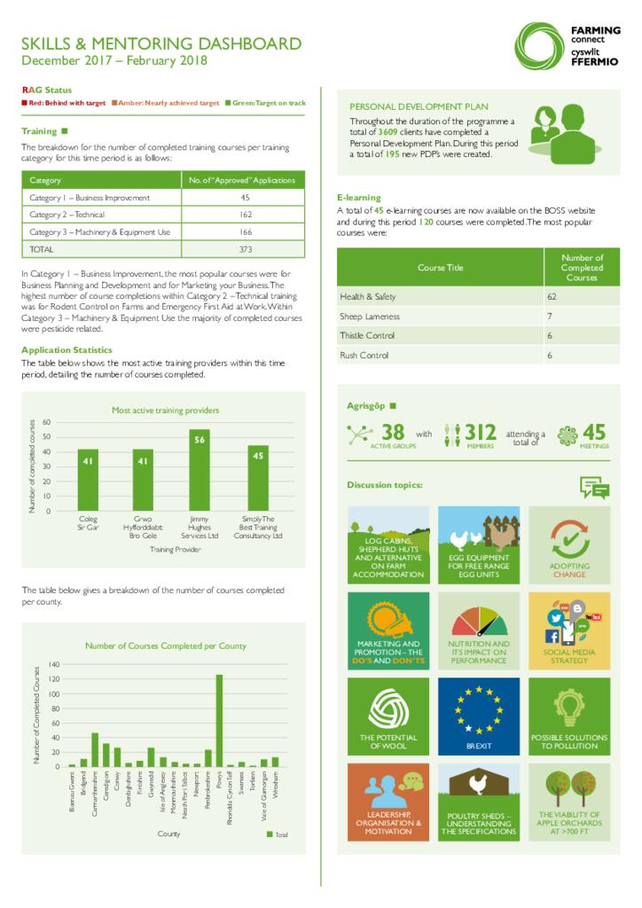 Skills & Mentoring: December 2017 - February 2018