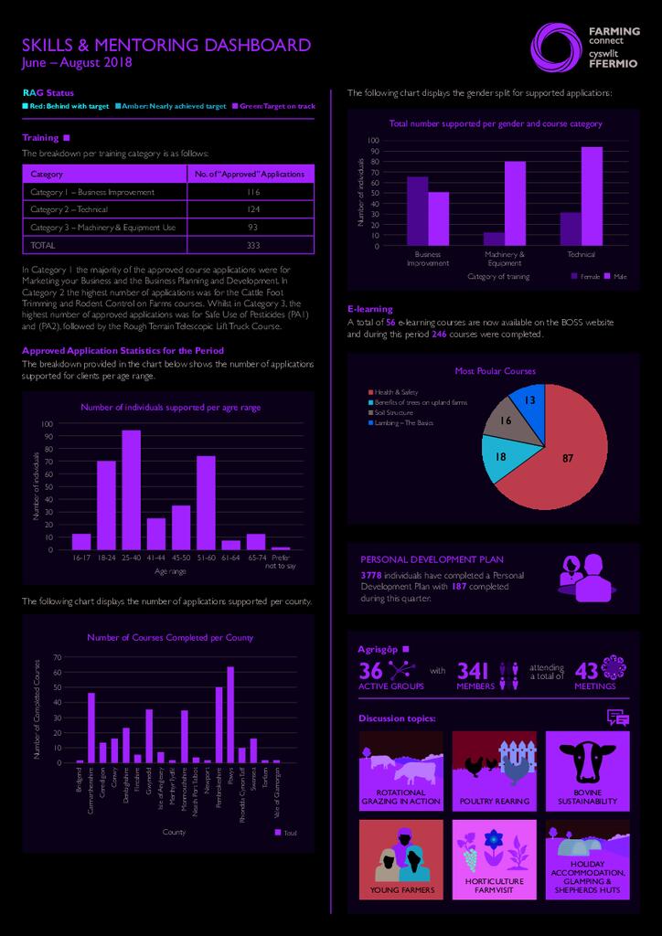 Skills & Mentoring: June 2018 - August 2018