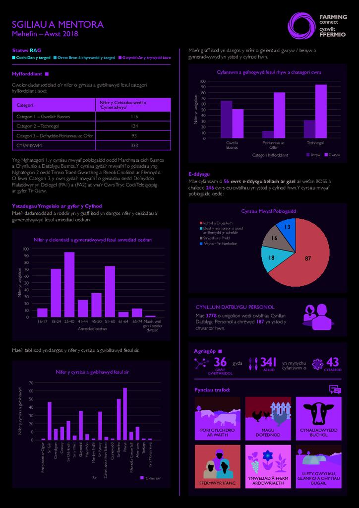 Sgiliau a Mentora: Mehefin 2018 - Awst 2018