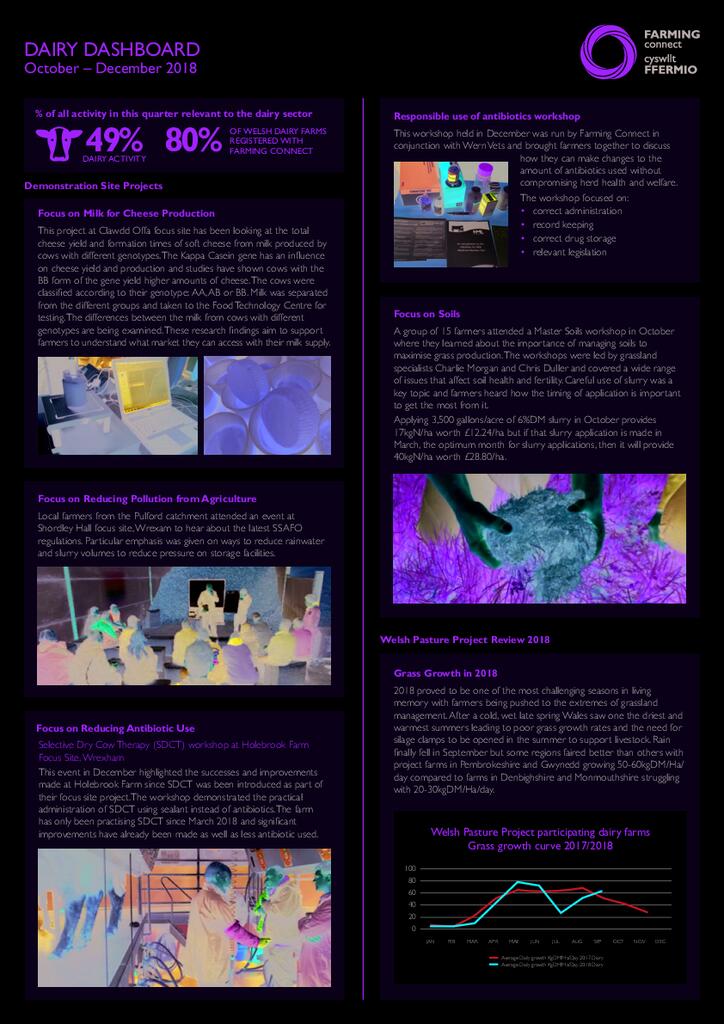 Dairy: October 2018 - December 2018