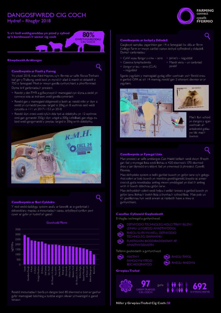 Cig Coch: Hydref 2018 - Rhagfyr 2018