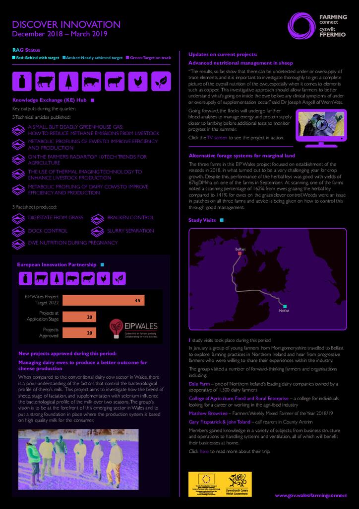 Discover Innovation: December 2018 - March 2019