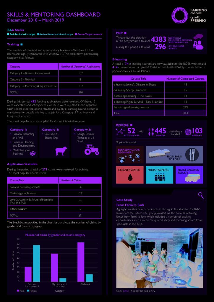 Skills & Mentoring: December 2018 - March 2019