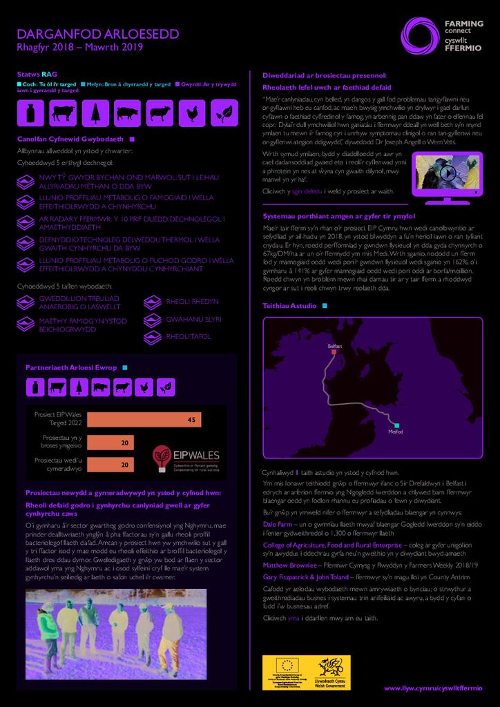Darganfod Arloesedd: Rhagfyr 2018 - Mawrth 2019