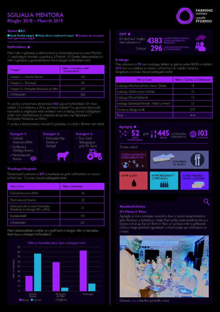 Sgiliau a Mentora: Rhagfyr 2018 - Mawrth 2019