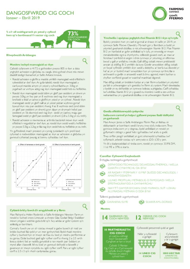 Cig Coch: Ionawr 2019 - Ebrill 2019