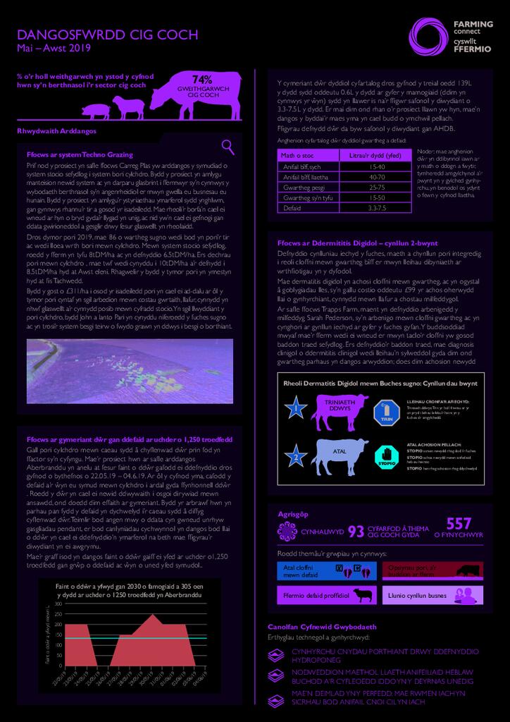 Cig Coch: Mai 2019 - Awst 2019