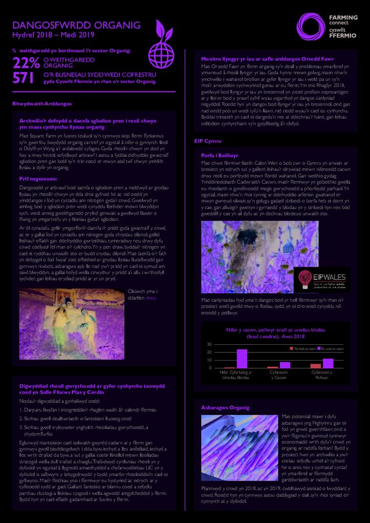Organig: Hydref 2018 – Medi 2019