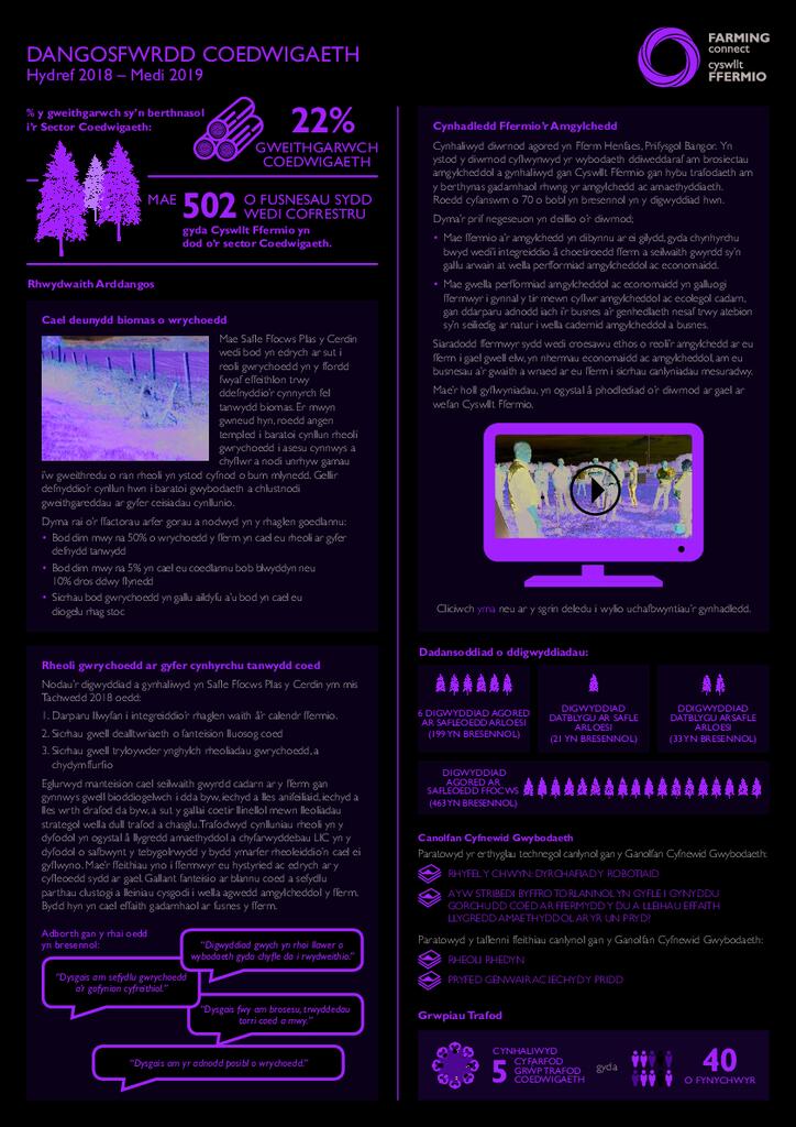 Coedwigaeth: October 2018 – September 2019