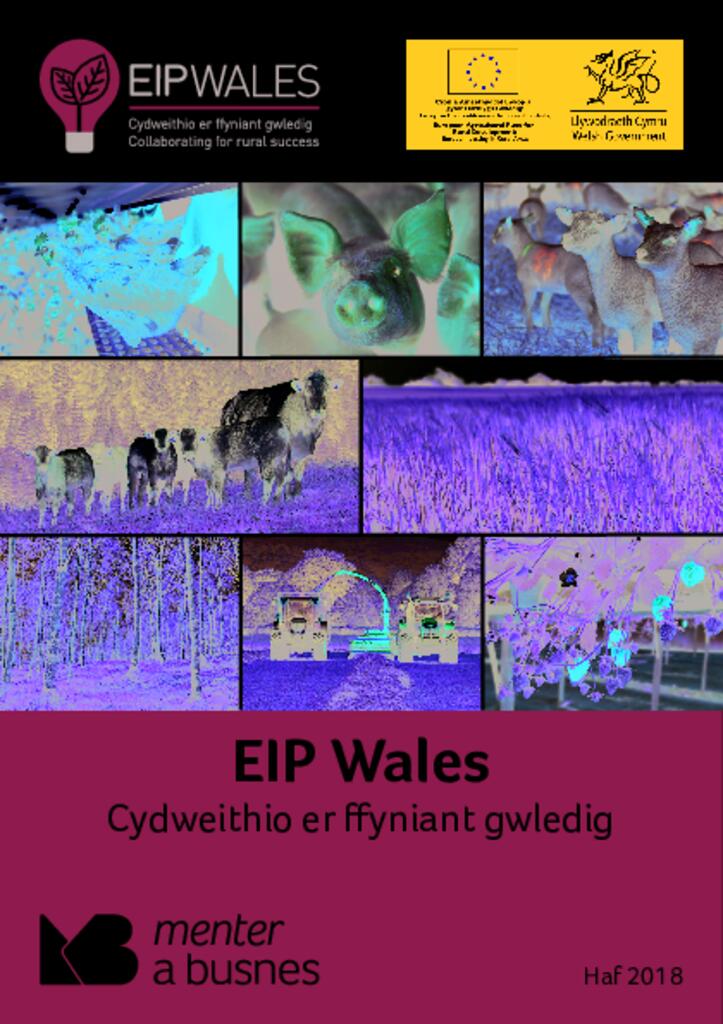 Llyfryn EIP yn Nghymru Haf 2018