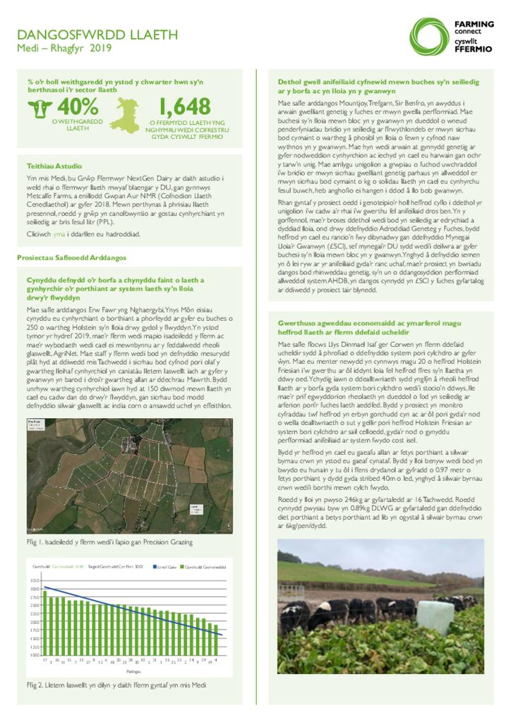 DANGOSFWRDD LLAETH: Medi – Rhagfyr 2019