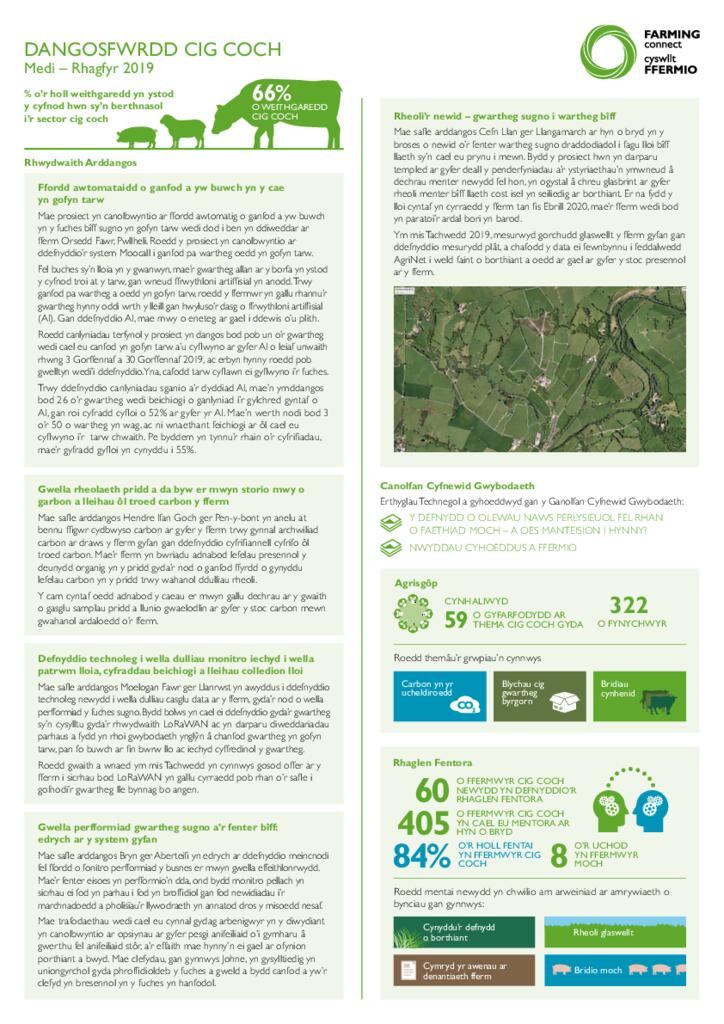 DANGOSFWRDD CIG COCH: Medi – Rhagfyr 2019