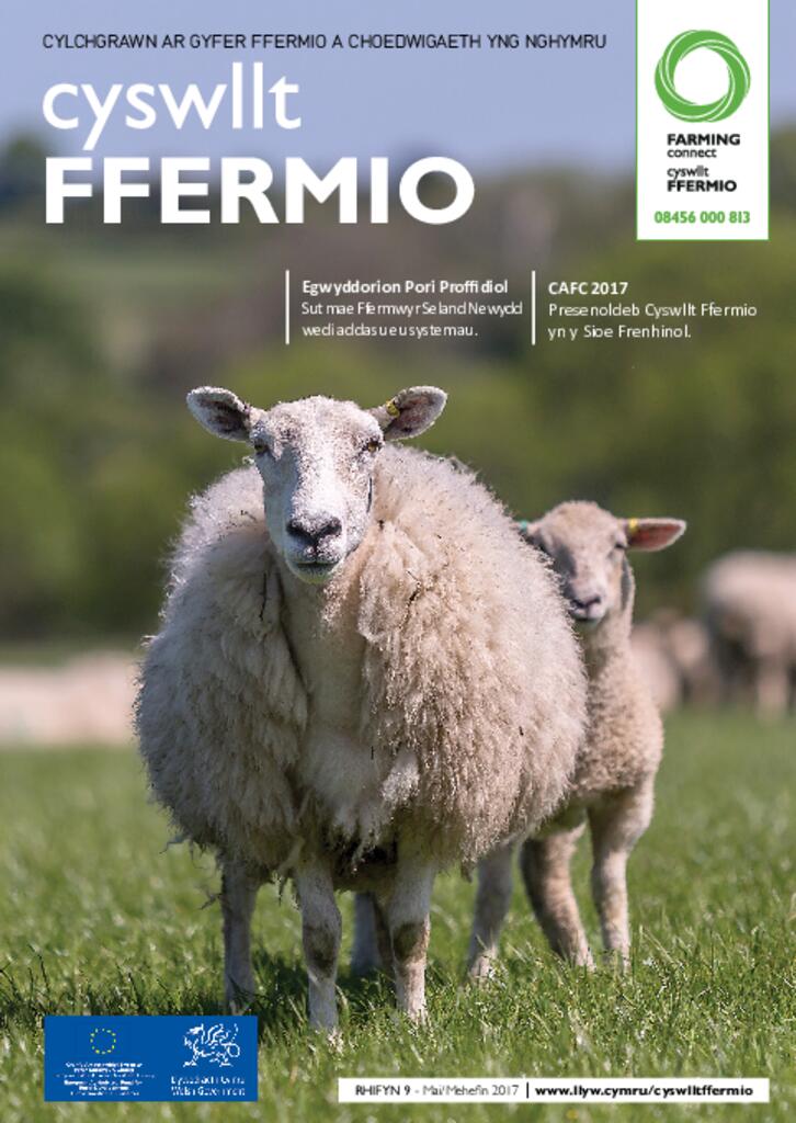 Cyhoeddiad Technegol - Rhifyn 9