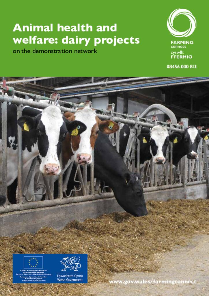 Animal health and welfare: dairy projects on the demonstration network