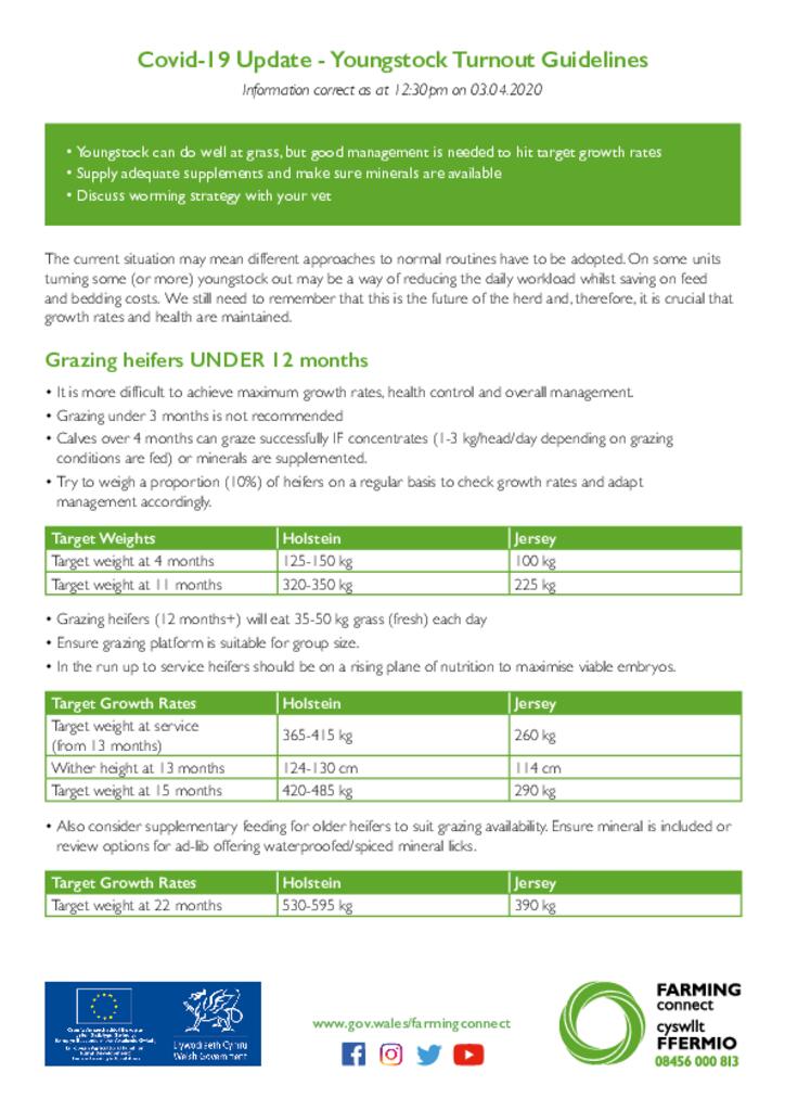 Covid-19 Update - Youngstock Turnout Guidelines