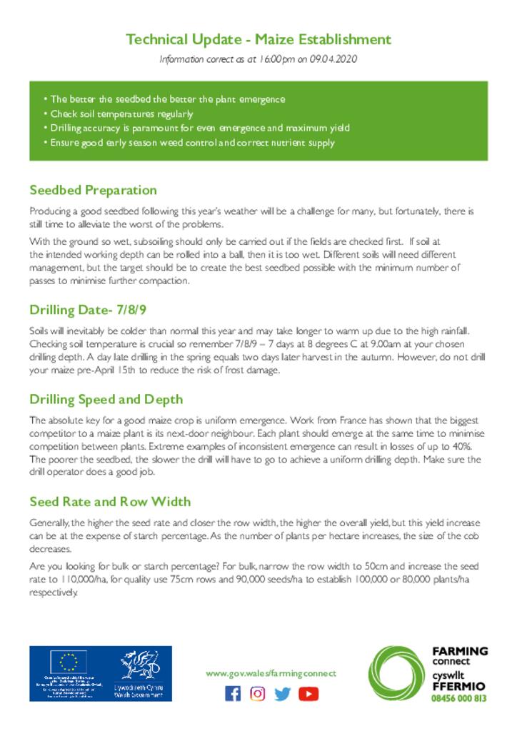 Technical Update - Maize Establishment