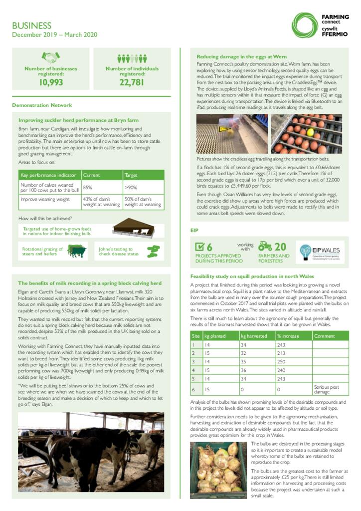 Business: December 2019 – March 2020