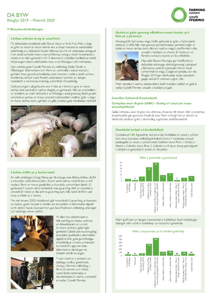 Da Byw: Rhagfyr 2019 – Mawrth 2020
