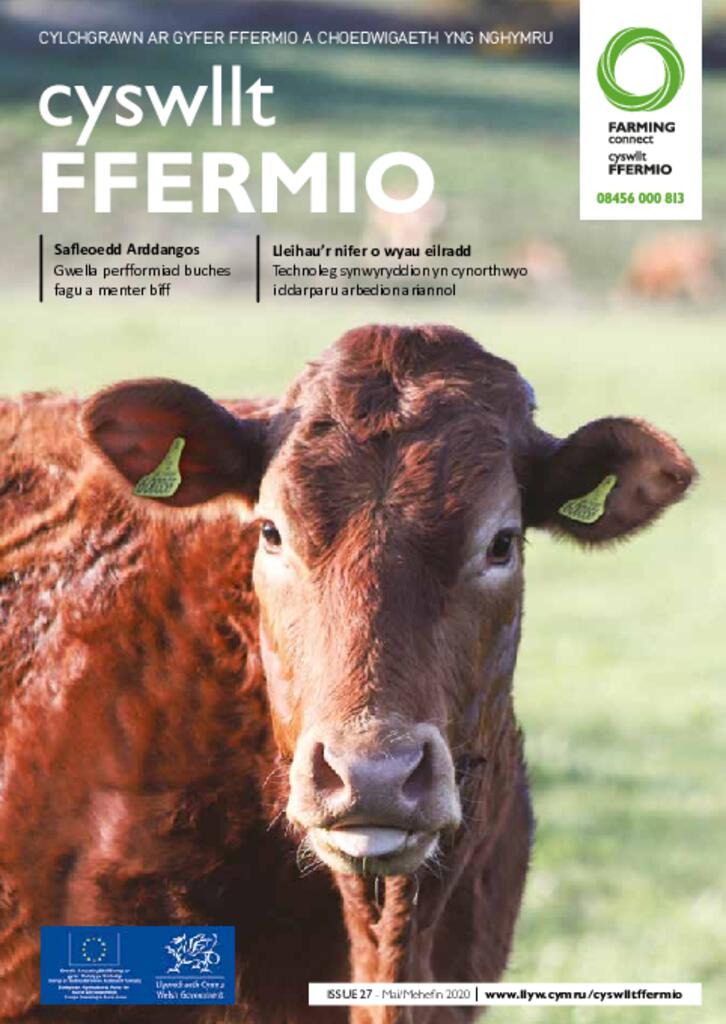 Cyhoeddiad Technegol - Rhifyn 27