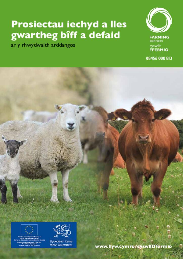 Prosiectau iechyd a lles gwartheg bîff a defaid ar y rhwydwaith arddangos