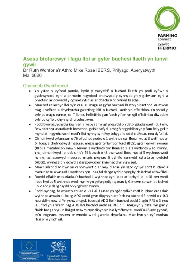 Asesu biofarcwyr i fagu lloi ar gyfer buchesi llaeth yn fanwl gywir
