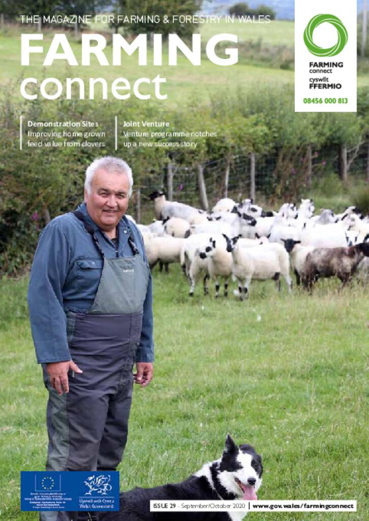 Technical Publication - Issue 29