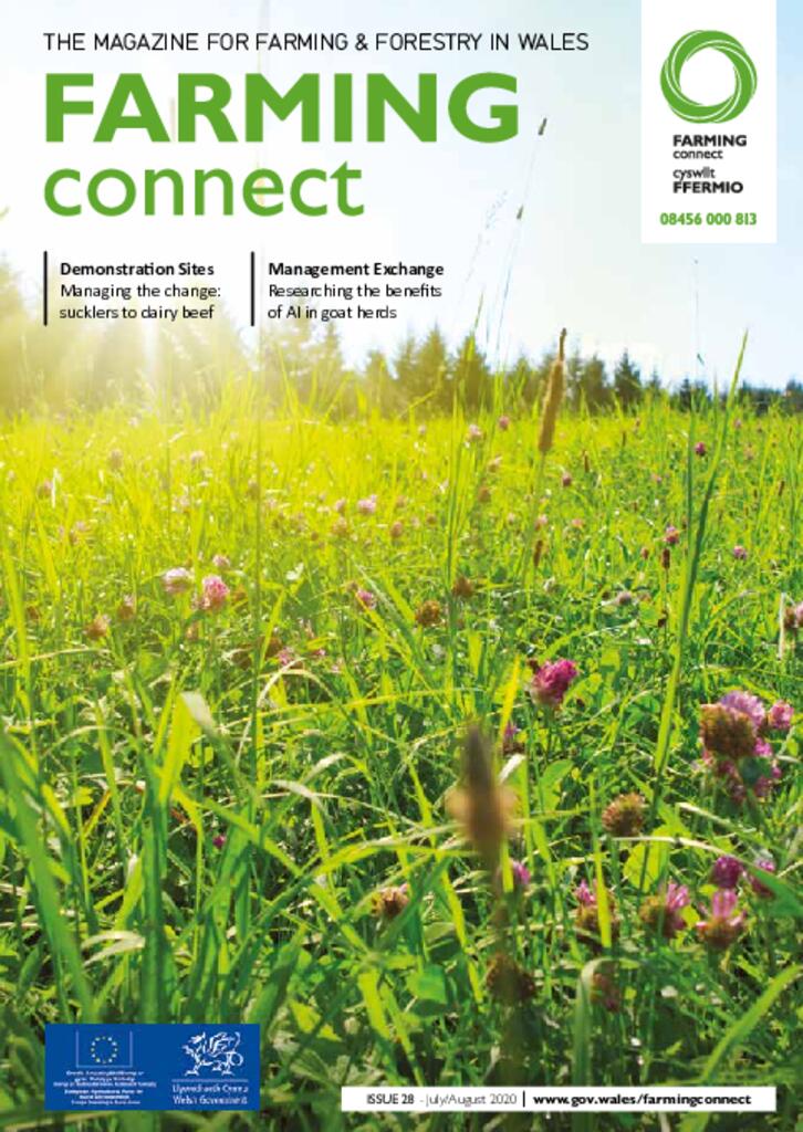 Technical Publication - Issue 28