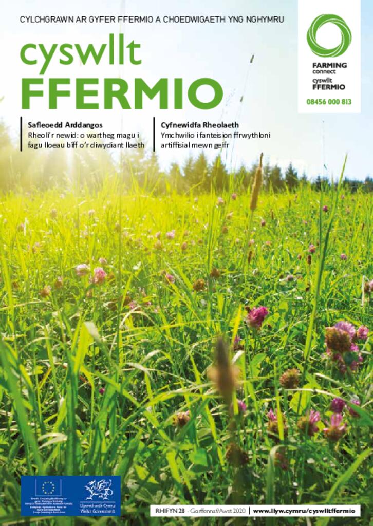 Cyhoeddiad Technegol - Rhifyn 28