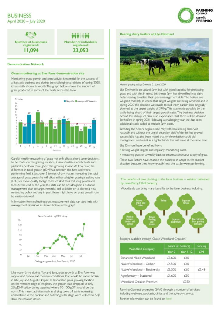 Dashboards - Business Aug 20