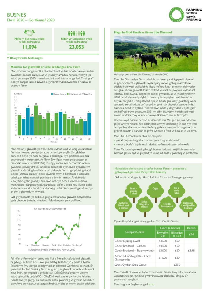 Dangosfyrddau - Busnes Awst 20