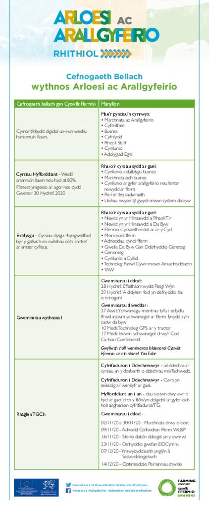 Taflen Gwybodaeth Arloesi ac Arallgyfeirio