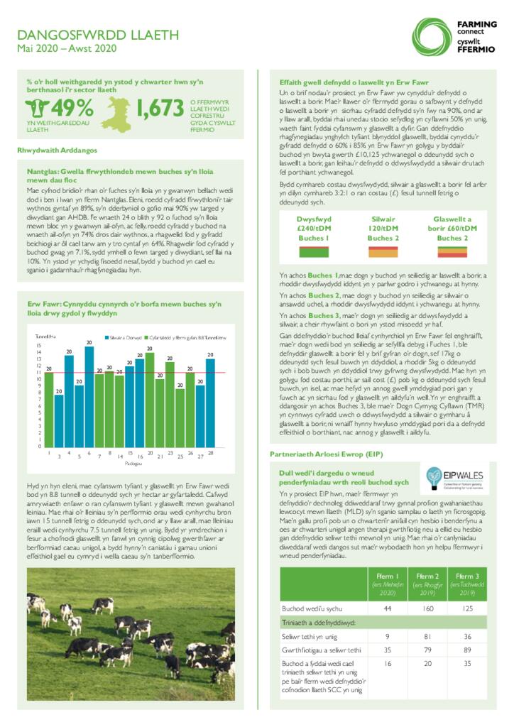 DANGOSFWRDD LLAETH: Mai – Awst 2020