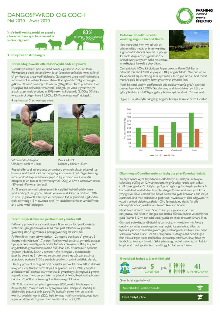 DANGOSFWRDD CIG COCH: Mai-Awst 2020