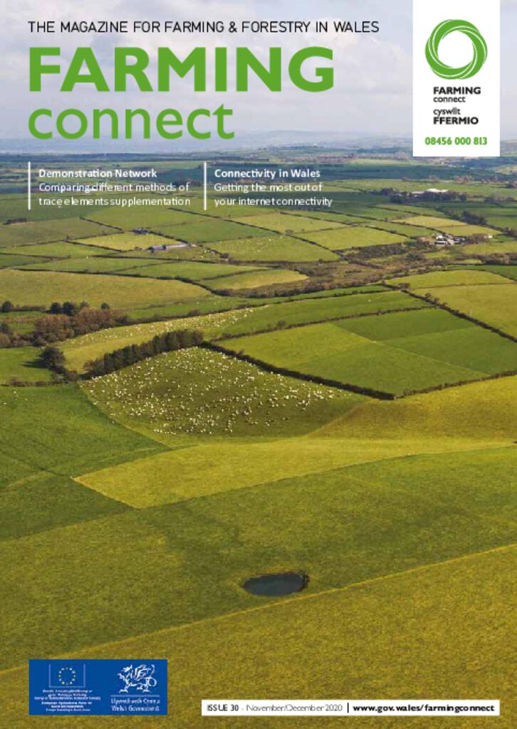 Technical Publication - Issue 30