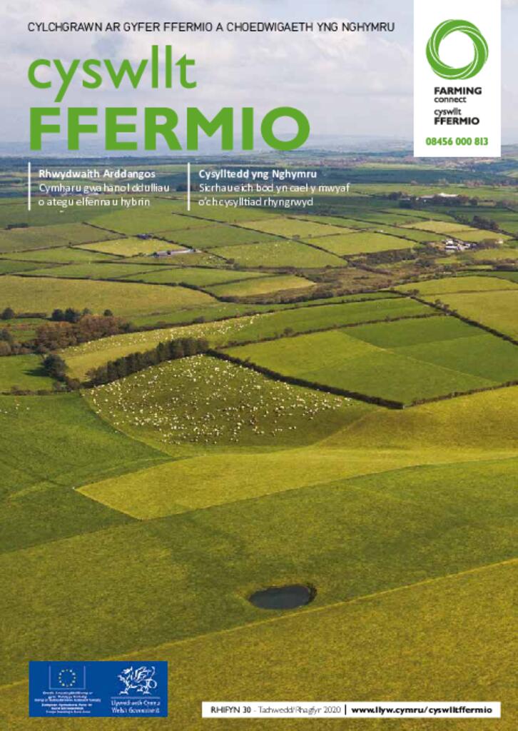 Cyhoeddiad Technegol - Rhifyn 30