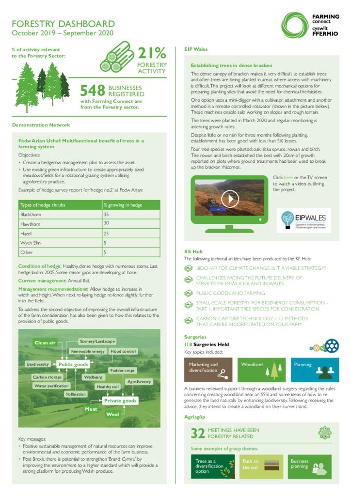 Dashboard - Forestry Oct 2020