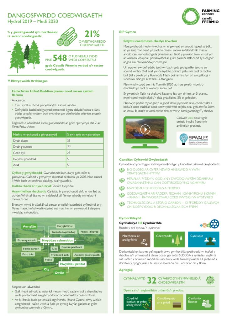 Dangosfwrdd - Coedwigaeth Hyd 2020
