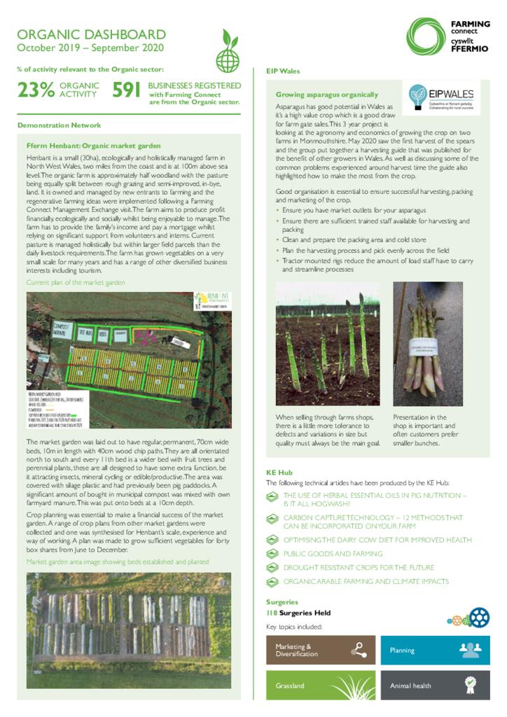 Dashboard - Organic Oct 2020