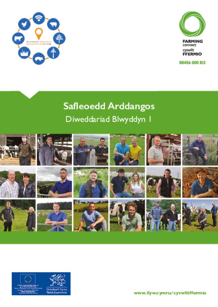 Safleoedd Arddangos - Diweddariad Blwyddyn 1