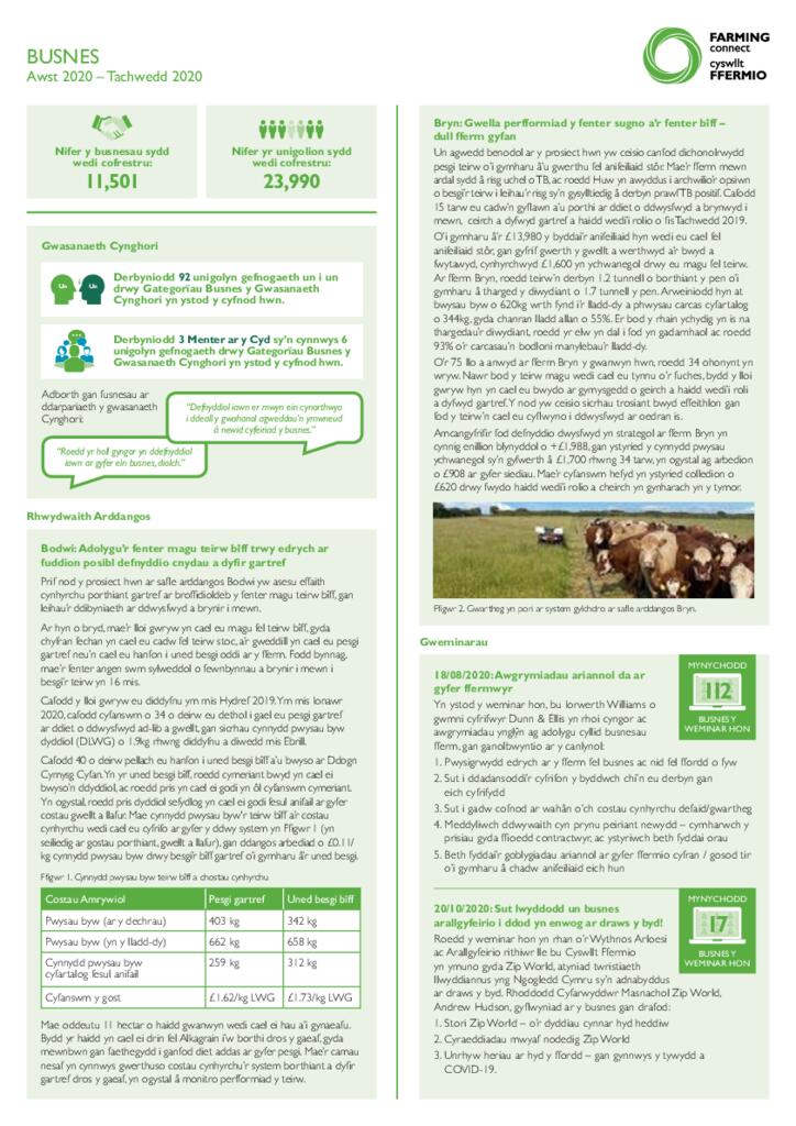 Dangosfwrdd - Bunses Rhagfyr 2020