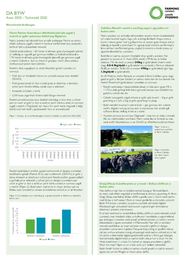 Dangosfwrdd - Da Byw 2020