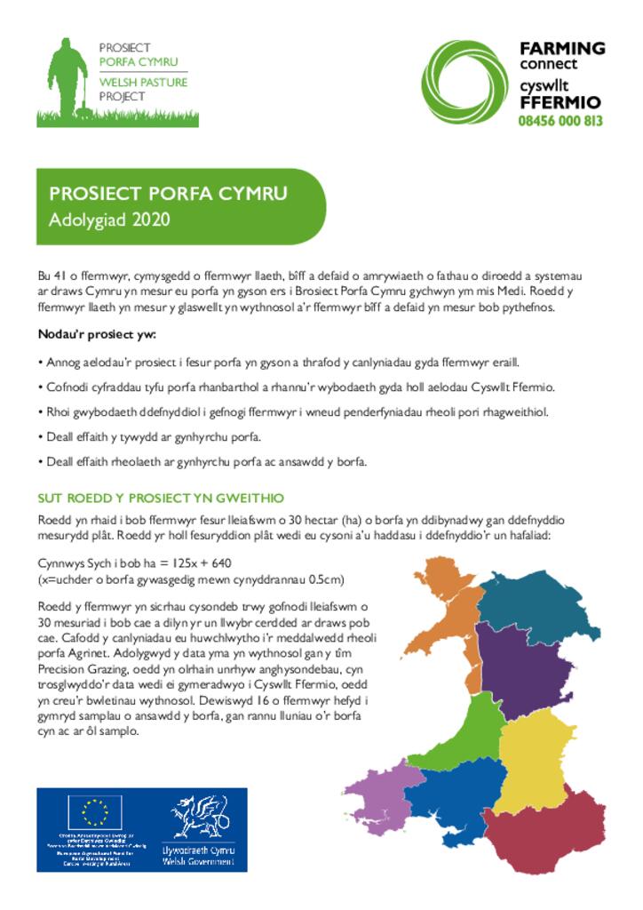 Adolygiad Prosiect Porfa 2020