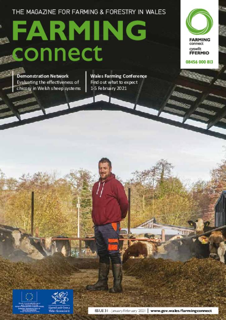 Technical Publication - Issue 31