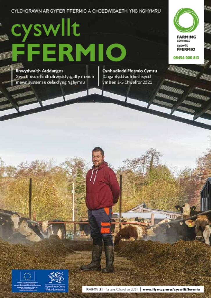 Cyhoeddiad Technegol - Rhifyn 31