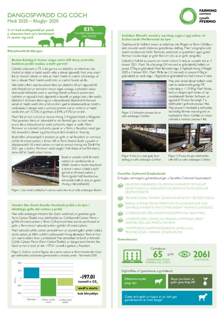 DANGOSFWRDD CIG COCH Medi 2020 – Rhagfyr 2020