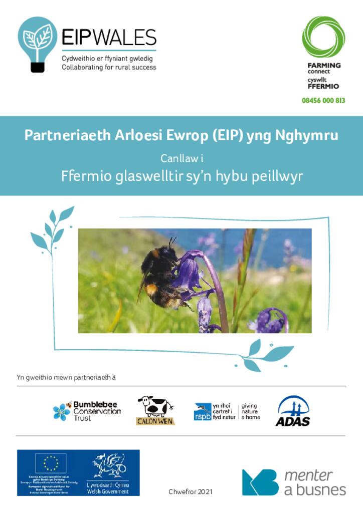 EIP - Llyfryn Porfa i beillwyr