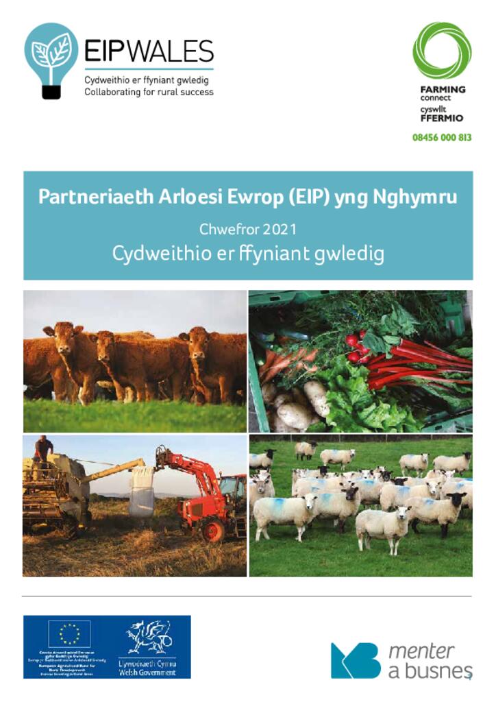 Llyfryn Partneriaeth Arloesi Ewrop (EIP) yng Nghymru - Chwefror 2021