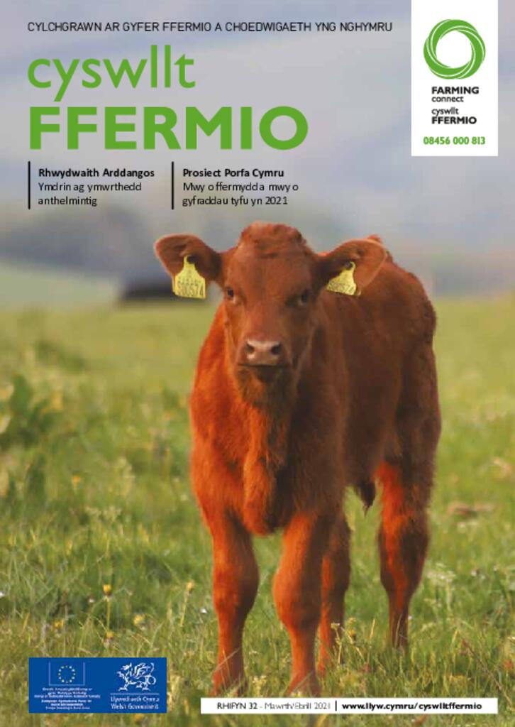 Cyhoeddiad Technegol - Rhifyn 32