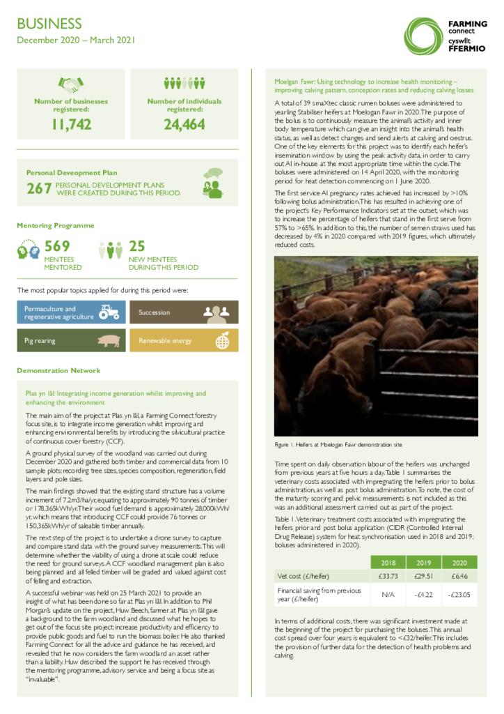 Business: December 2020 – March 2021